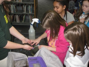 For-Mar Nature Representative Teaches Dillon Students about the Food Chain and Much More!