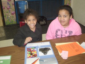 The Case of the Cut Cake At Dye Elementary